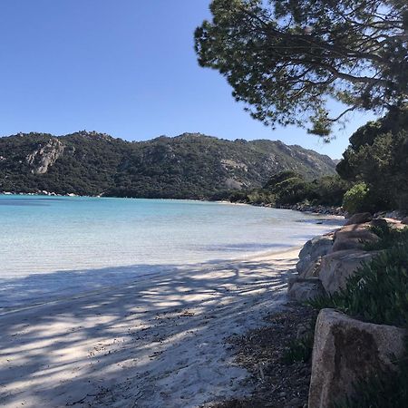 Caseddu Au Coeur Du Maquis Sotta Buitenkant foto