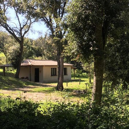 Caseddu Au Coeur Du Maquis Sotta Buitenkant foto
