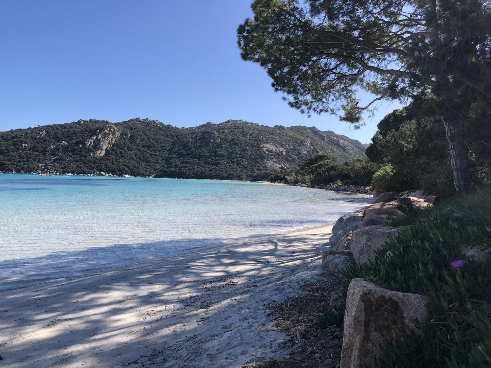 Caseddu Au Coeur Du Maquis Sotta Buitenkant foto