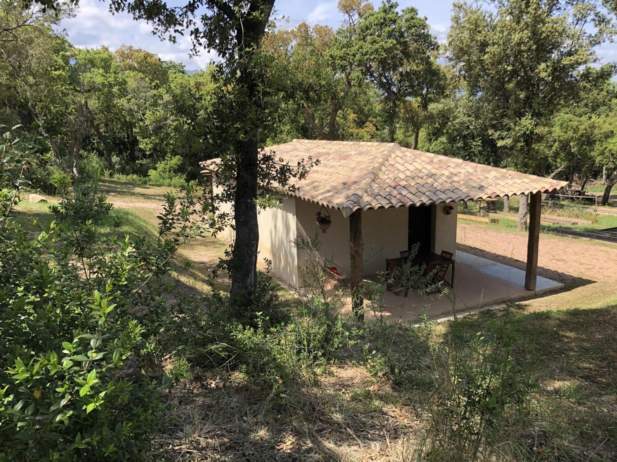 Caseddu Au Coeur Du Maquis Sotta Buitenkant foto